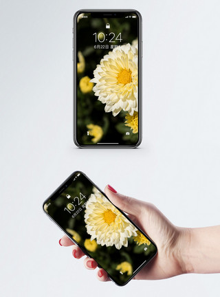 品质生活花卉手机壁纸模板