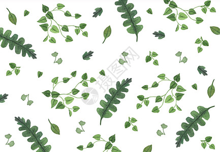 植物清新组合水彩清新绿色叶片组合插画
