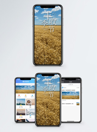 小麦蓝天丰收季节手机海报配图模板