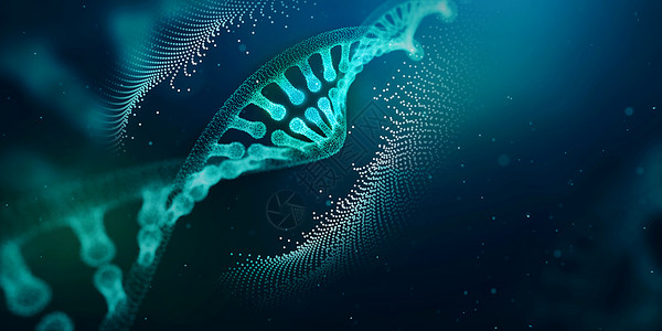 观赏水母DNA设计图片