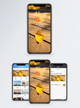 木板落叶秋季来临手机海报配图模板