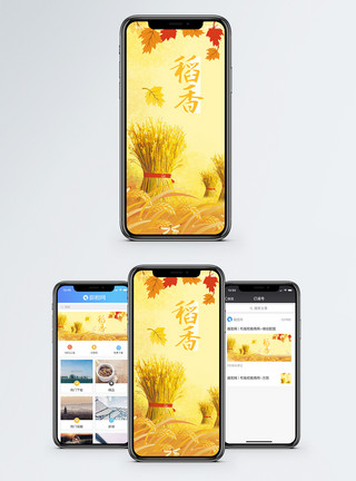 秋天硕果稻香手机海报配图模板