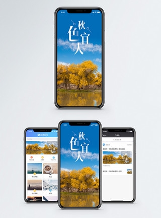 金塔胡杨秋色宜人手机海报配图模板