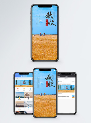 金黄季节秋收手机海报配图模板
