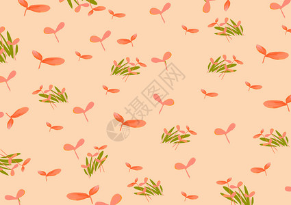 香山花卉植物背景插画