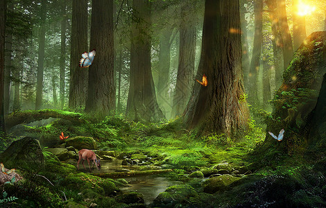 动物唯美梦幻森林设计图片
