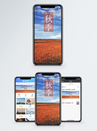 一望无际原野九月手机海报配图模板