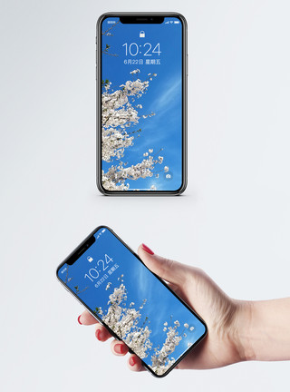 樱花天空樱花与蓝天手机壁纸模板