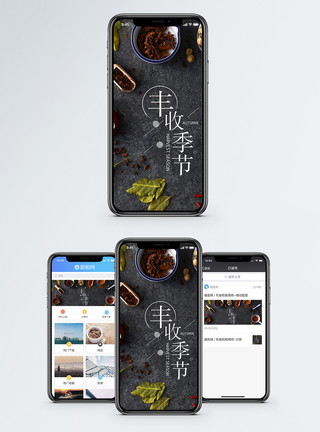 香料组合丰收季节手机海报配图模板