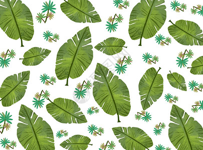 大片绿叶热带植物插画