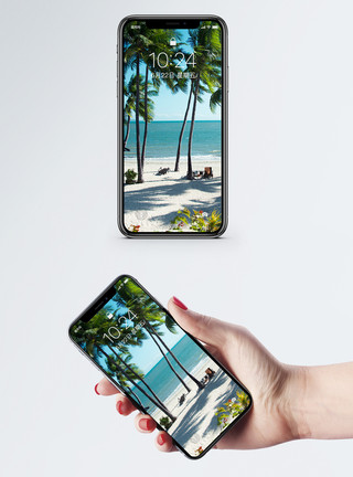 椰树风景斐济风光手机壁纸模板