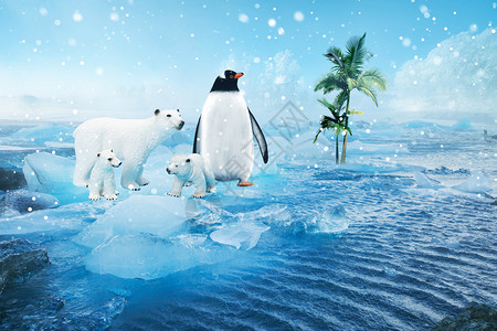 企鹅图框全球变暖设计图片
