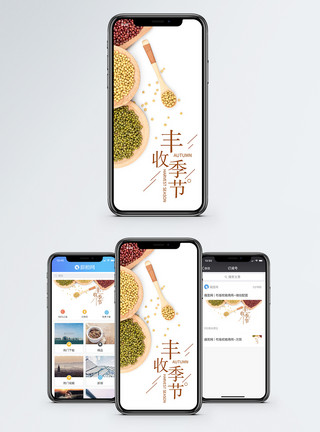 豆类摆盘丰收季节手机海报配图模板