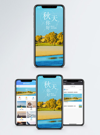 秋季树木你好秋天手机海报配图模板