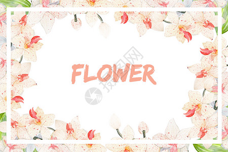 百合装饰边框水彩花卉背景插画