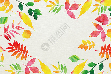 彩色圆叶枝条秋分设计图片