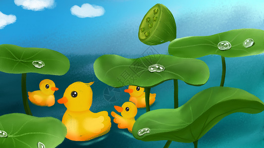 白露荷塘鸭子插画背景图片