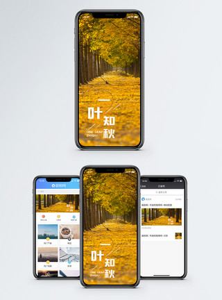 联系我们banner一叶知秋手机海报配图模板