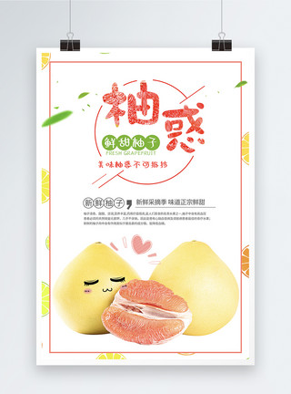西柚苏打水柚子水果海报模板