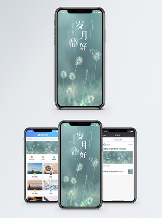 狗尾草素材岁月静好手机海报配图模板