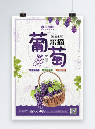 采摘葡萄应季新鲜有机水果促销海报模板