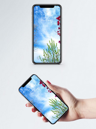 鲜花风景背景天空的色彩手机壁纸模板