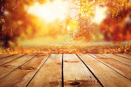 阳光下的梧桐叶浪漫秋季场景设计图片