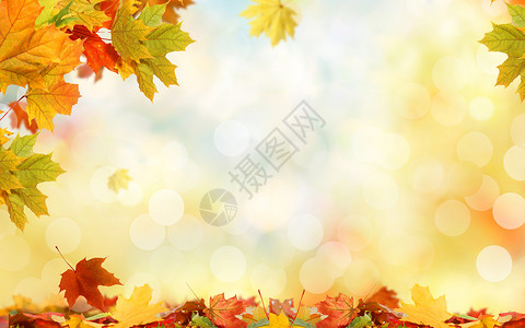 梦幻叶子素材秋季唯美背景设计图片