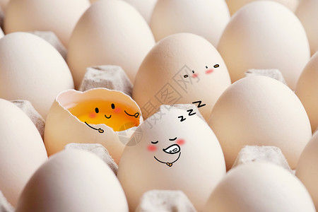 蛋壳画鸡蛋创意摄影插画插画