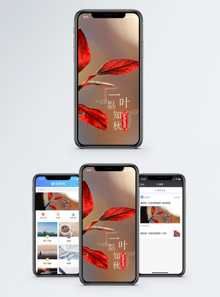 秋阳光一叶知秋手机海报配图模板