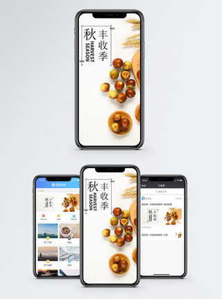冬枣脆枣丰收季手机海报配图模板