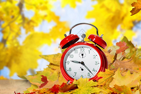 秋天时间枫叶与闹钟设计图片