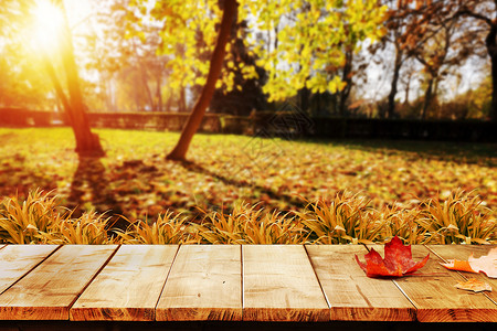 木板落叶秋天设计图片