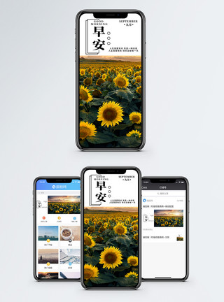 向日葵花海意境早安你好手机海报配图模板