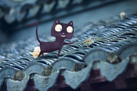 有趣动物仪表盘屋檐上的小猫插画