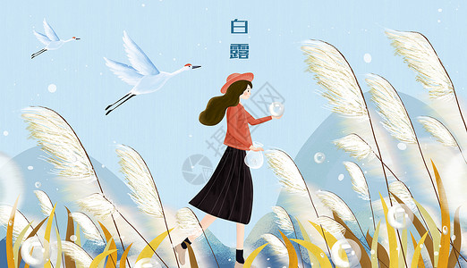 白露节气白露女孩插画高清图片