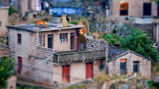 小村落房顶上的猫插画