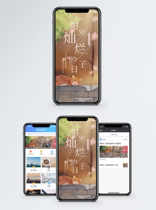 阳光猫阳光灿烂的日子手机海报配图模板