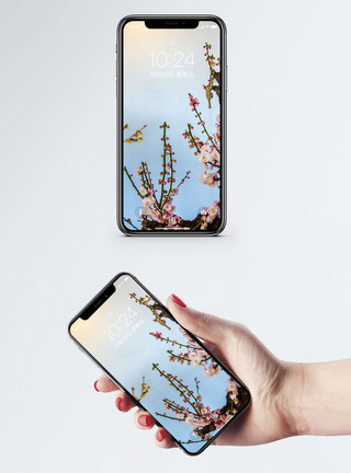 花卉花朵花枝中国风手机壁纸模板