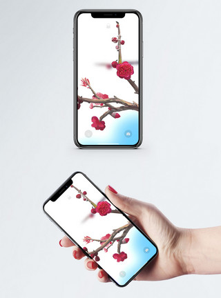 梅花花枝中国风手机壁纸模板