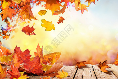 秋季背景实木酒窖高清图片