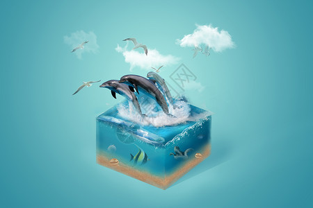 海面浪花创意海豚场景设计图片