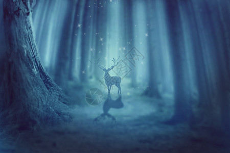 迷幻梦境神秘森林小鹿设计图片