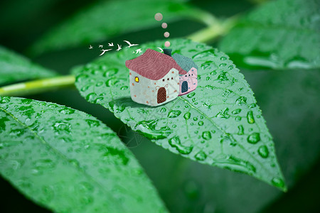 小鸟的家树叶上的小屋插画
