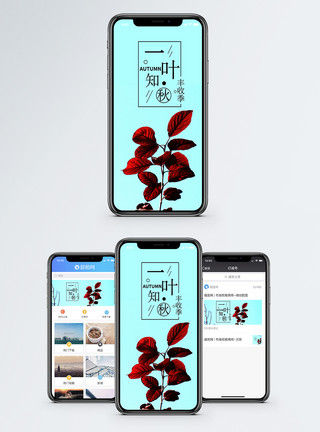 手机界面一叶知秋手机海报配图模板