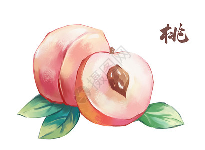 水果鲜切桃子插画