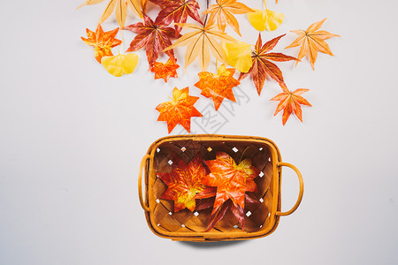 丰收篮子秋天背景设计图片