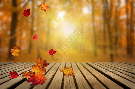 木板落叶秋天的落叶设计图片