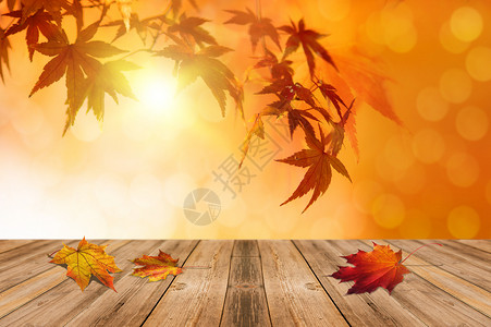 木板落叶秋季枫叶背景设计图片