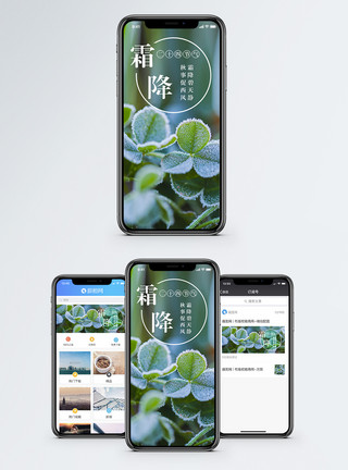 霜降素材霜降手机海报配图模板
